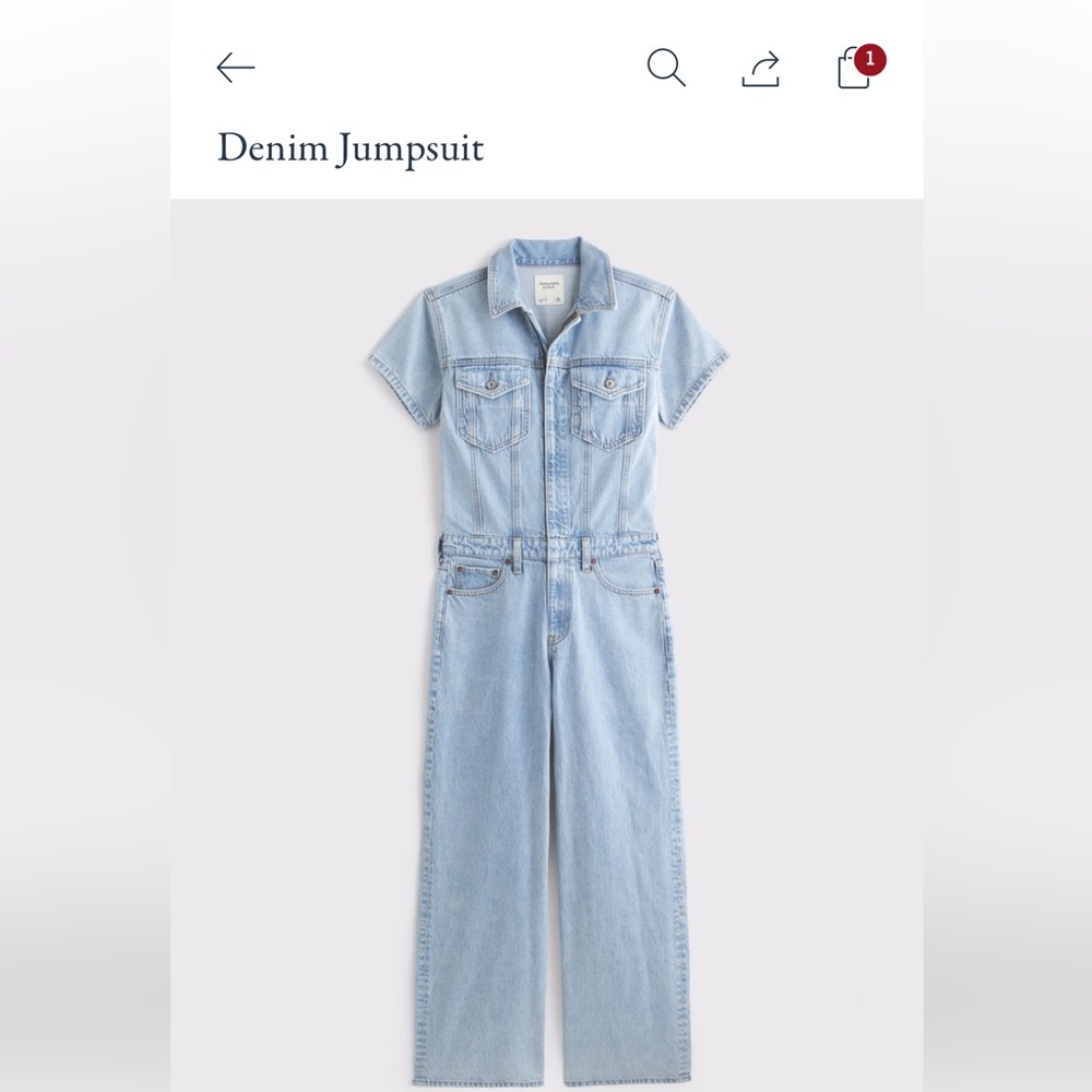 Abercrombie & Fitch Light Blue Denim Overalls - Picture 1 of 2